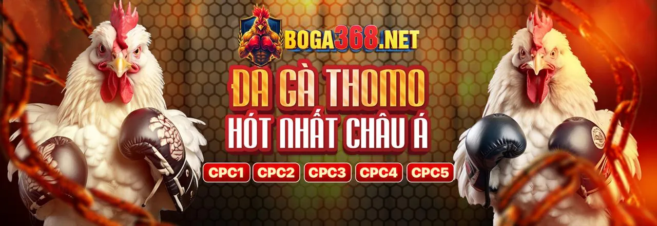 Sân vận động với ánh đèn rực rỡ và người hâm mộ cuồng nhiệt, thể hiện tinh thần cá cược thể thao tại fun88sc win.