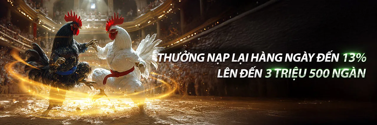 Sân đấu đá gà trực tuyến sôi động tại fun88sc win